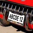 thumbnail image 5 of 2 PCS Labrador Retriever Dog with Bird License Plate Frames Gift for Dog Lovers Car Tags Frames Holder Aluminum 2 Hole for Women Men US Vehicles for Men Women Vehicle, 5 of 6