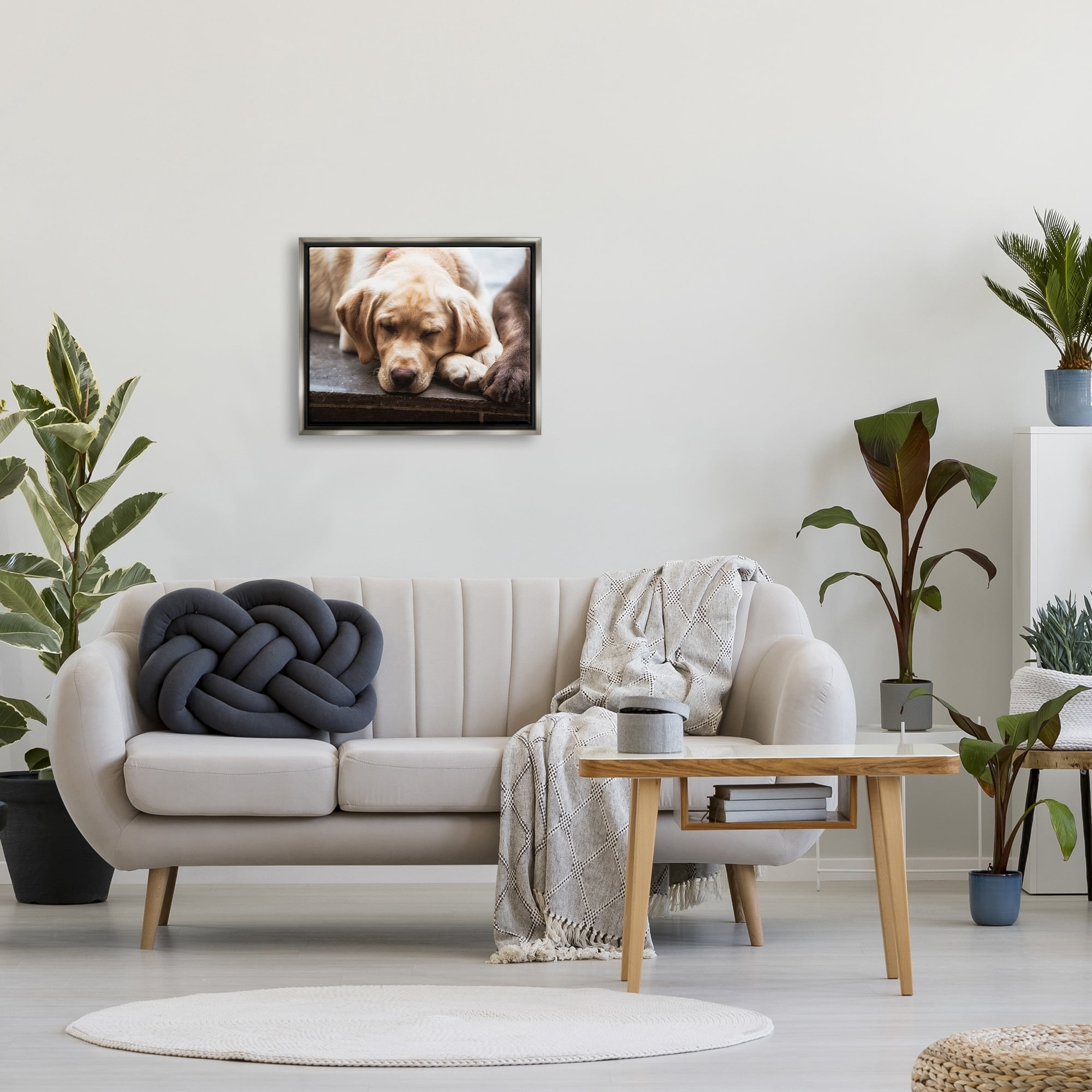 Stupell Industries Sweet Sleeping Dogs Resting Paws Animal Photography Photograph Luster Gray Floating Framed Canvas Print Wall Art, Design by James Dobson