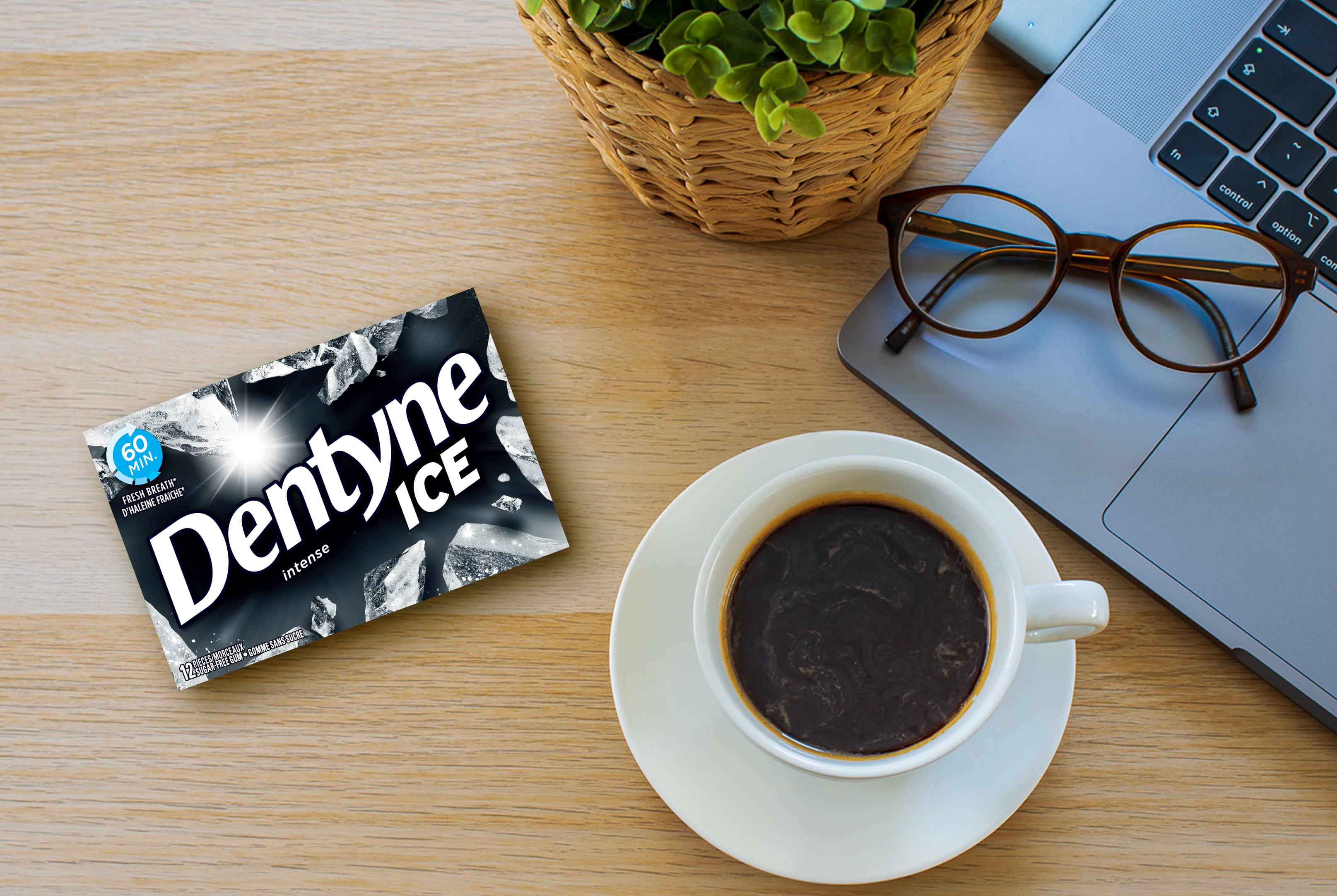 Dentyne Ice, Intense Sugarfree Gum - Pack of 4 (48 Pieces), 4 Pack (12 pcs ea), 48ct