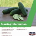 thumbnail image 2 of Cucumber Raider F1 Seed, Untreated, 500 Seeds, 2 of 7
