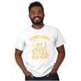 thumbnail image 5 of Pennsylvania Will Steal Your Heart Men's Graphic T Shirt Tees Brisco Brands L, 5 of 5