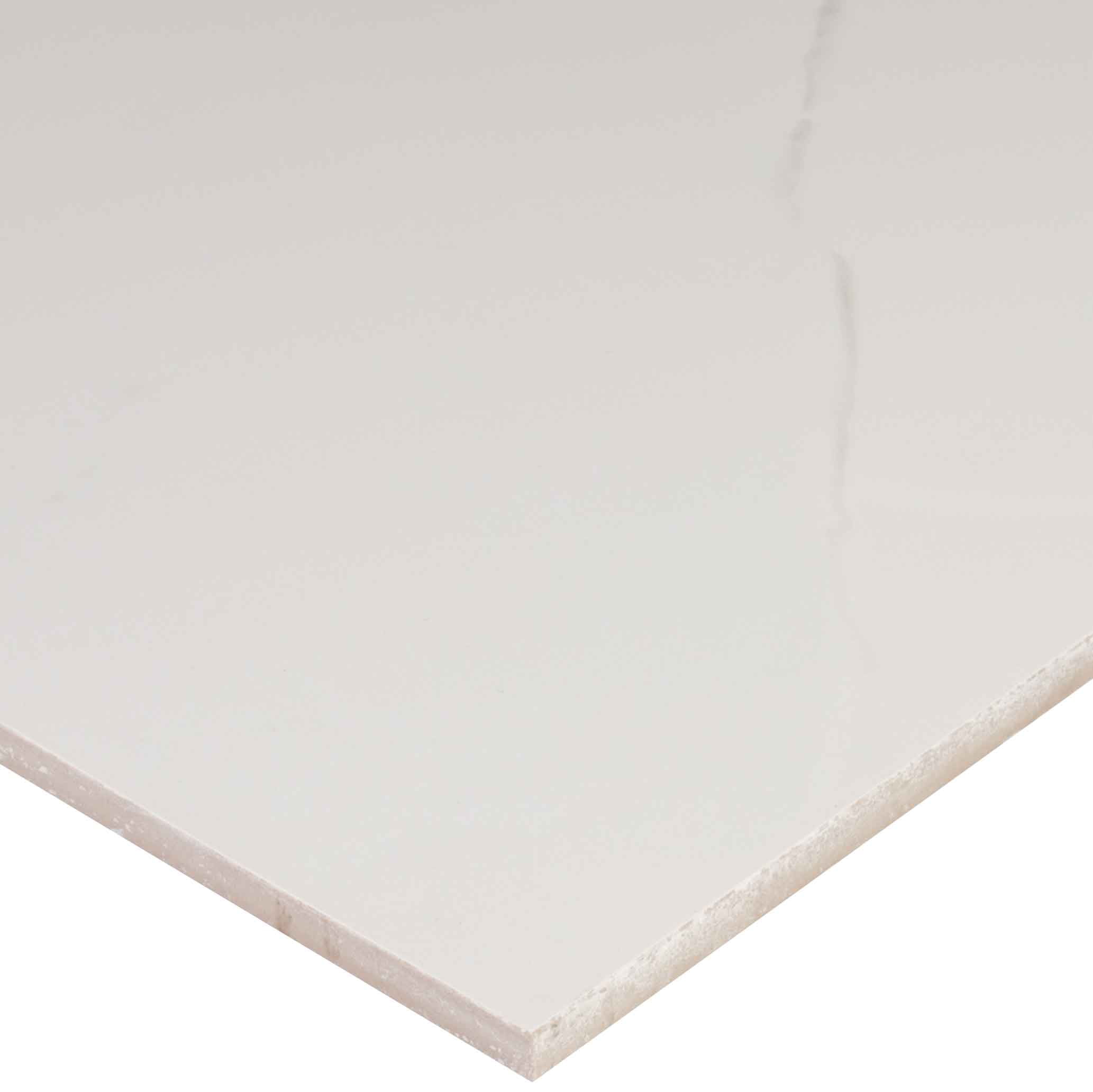 MSI Pietra Carrara 12 X 24 Porcelain Field Tile In White