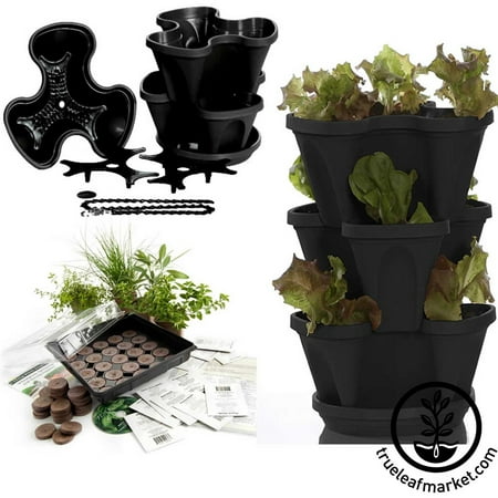 garden stacker planter indoor herbal tea herb garden kit grow lemon balm catnip - Indoor Herb Garden Kit garden stacker planter indoor herbal tea herb garden kit grow lemon balm catnip - Indoor Herb Garden Kit