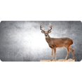 thumbnail image 1 of Buck Offset On Grey Photo License Plate, 1 of 1