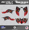 Red, variant on Kalair GFX Graphics Kit for Honda ATV TRX 400EX (2008-2016) Revolt Series