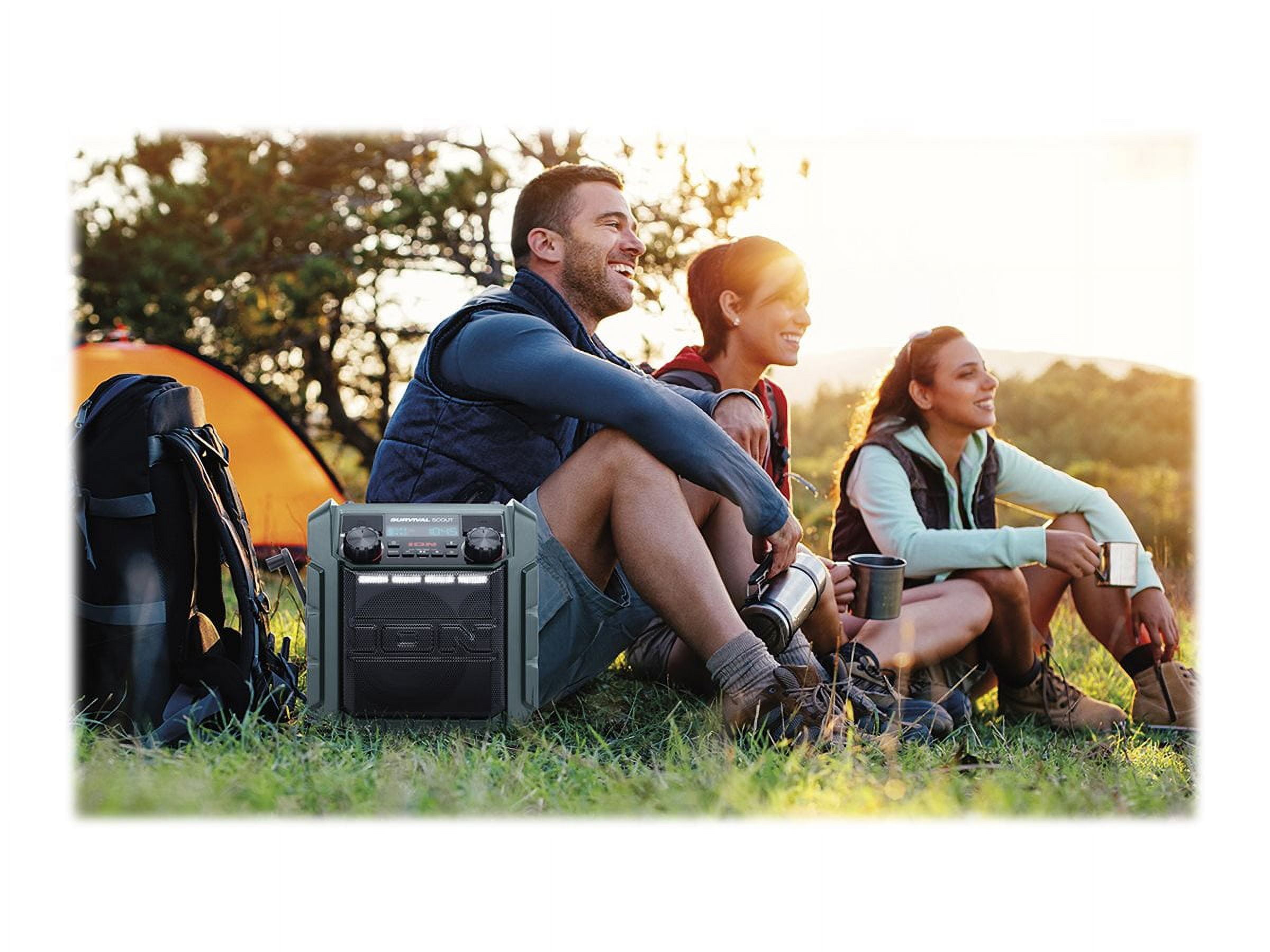 Ion audio ipa95 2025