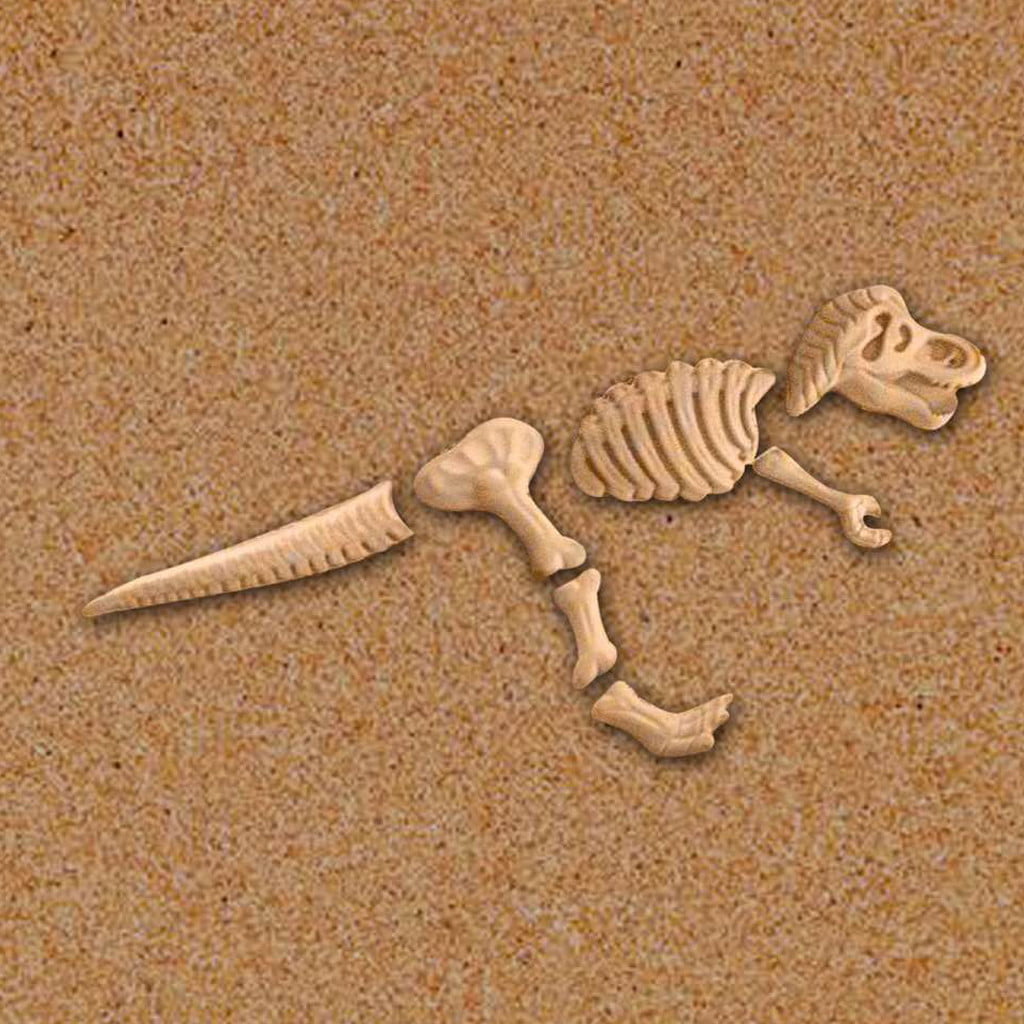 3 Large Dinosaur Sand Molds Dinosaur Fossil Skeleton Beach Toy Set dinosaur USA 