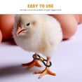 thumbnail image 6 of LOLIPPYY 100pcs Chicken Leg Bands Baby Chicken Splay Leg Hobbles Adjustable Hobbling Chick Hobble Braces For Chick Bird Quails, 6 of 7