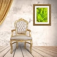 thumbnail image 3 of Grayscale 19x24 Gold Ornate Wood Framed with Double Matting Museum Art Print Titled - Natural Fractals IV, 3 of 4