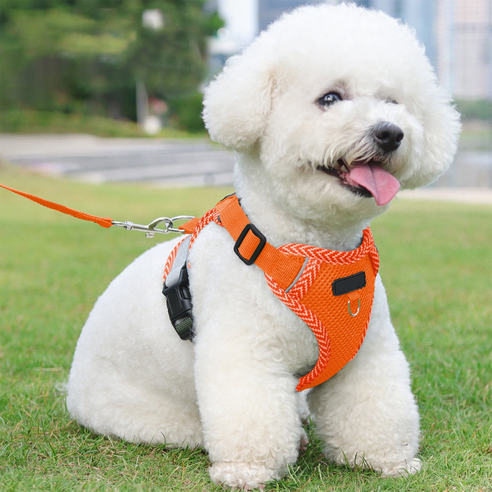 JilgTeok 5 Packs Dog and Cats Harness and Leash Sleeveless Style Pet Reflective Breathable Leash Comfortable Vest Suitable for Outdoor Cats and Dog Walking Travel Escape Proof