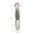 thumbnail image 2 of Artificial red Pampas Grass | 62” Tall faux grass in a tall beige planter| Home Decor By Vintage Home, 2 of 8