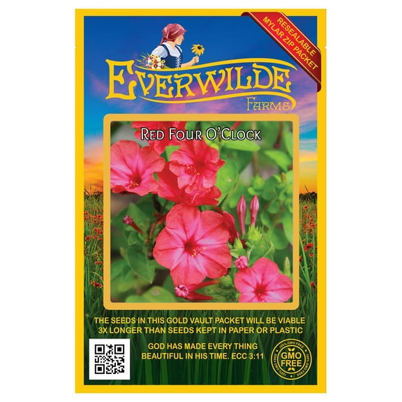 Everwilde Farms - 50 Red Four O Clock Garden Flower Seeds - Gold Vault Jumbo Bulk Seed Packet