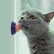 thumbnail image 2 of Wdftyju Bocadillos saludables para gatos Catnip Sugar Candy Licking Solid Nutrition Gel Energy Ball Wdftyju 2vs9bk5fm8zh7mn5D02, 2 of 8