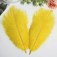 thumbnail image 4 of Nvzi 24pcs Yellow Ostrich Feathers Natural Bulk 10-12Inch 25cm-30cm for Wedding Party Centerpieces Easter Gatsby and Home Decorate Ostrich Feathers, 4 of 5