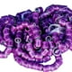 thumbnail image 2 of 100 Uds anillos para patas de Paloma bandas para pies de Paloma 2024 identificación de aves portátil duradera numerada 8mm para aves de corral pequeña Púrpura, 2 of 8