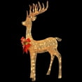 thumbnail image 4 of National Tree Company Pre-Lit  Champagne Standing Reindeer, Warm White LED Lights, 48 Inch, Indoor or Outdoor Use., 4 of 4