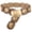 Coffee, variant on WHIPPY Western Belts for Women Cowgirl Wide Belt for Dresses Jeans