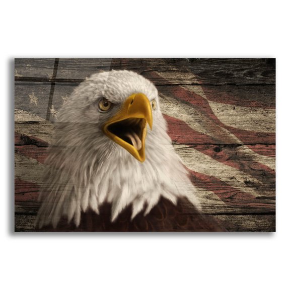 Epic Art 'Woodgrain Antiques Bald Eagle 3' by Gordon Semmens Acrylic Glass Wall Art, 24" x 16"