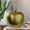 Green, variant on Nolyn Silver Ceramic Apple Decor – Decorative Home Accent, Tabletop Ornament, Modern Kitchen & Living Room Decoration (Size-Large | 6.00"x6.00"H, Silver)