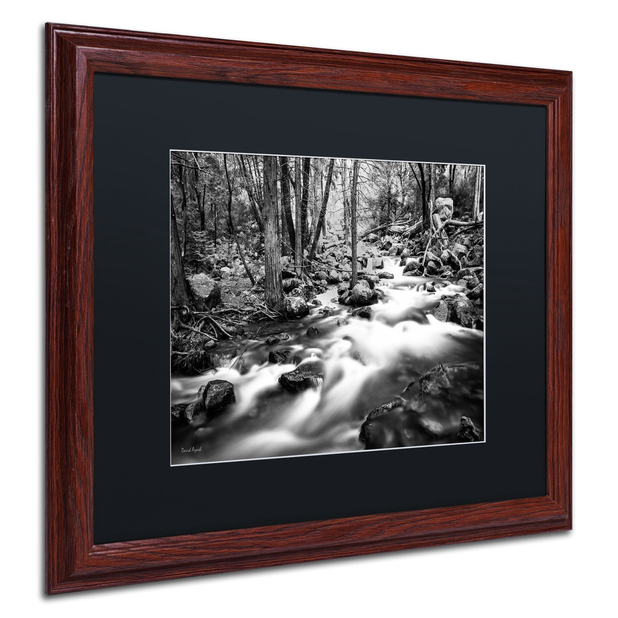 Trademark Fine Art "Yosemite National Park - California-I" Canvas Art by David Ayash, Black Matte, Wood Frame