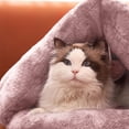 thumbnail image 4 of AZXY Covered Dog Beds,Dog Beds for Small Dogs,Washable Dog Bed Medium,Cute Warm Small Cat Bed,Chew Proof Cotton Funny Fuzzy Pet Beds for Cats Clearance Pink, 4 of 6