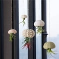 thumbnail image 3 of Yuarrent Maceta colgante de caracol de mar de 5 piezas, adorno de jardinería para el hogar, soporte de planta exquisito Natural, decoración Jardín y Patio, 3 of 6