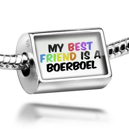 Neonblond Charm My best Friend a Boerboel Dog from South Africa 925 Sterling Silver (Best South African Websites)