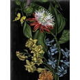 thumbnail image 2 of McCavitt, Naomi 12x14 White Modern Wood Framed Museum Art Print Titled - Dark Floral III, 2 of 4