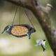 thumbnail image 5 of Bandeja colgante de comedero para pájaros de malla fina - comedero metálico de gran capacidad con cadena ajustable, resistente al óxido para jardín y jardín, 5 of 5