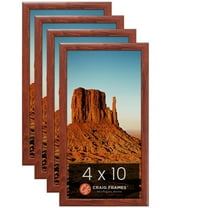 Craig Frames Contemporary Honey Brown Picture Frame, Set of 4