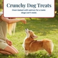 thumbnail image 5 of Blue Buffalo Basics Crunchy Dog Biscuits, Skin & Stomach Care, Salmon & Potato, 6-oz., 5 of 11
