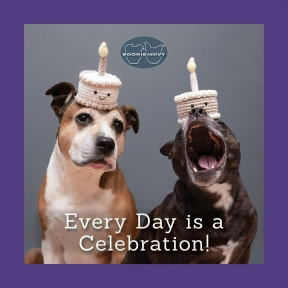 Sookie and Ivy Every Day Is a Celebration!, (Hardcover)
