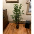 49 in. Artificial Bamboo Tree With Black Trunk In 6 in. Pot With Moss