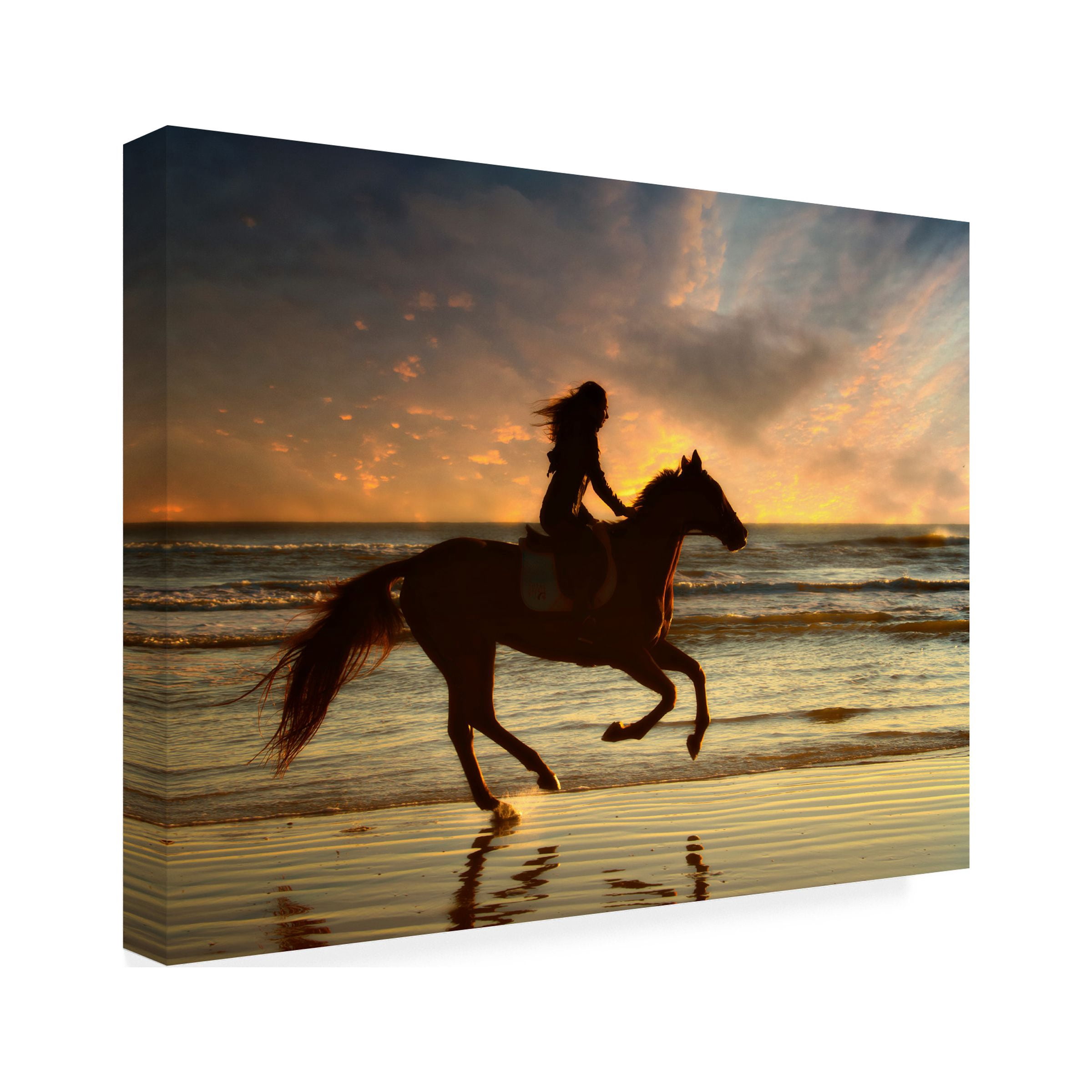 PHBurchett 'Wave Runners V' Canvas Art