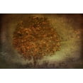 thumbnail image 2 of Talen, Nel 18x13 White Modern Wood Framed Museum Art Print Titled - Autumn Tree, 2 of 4