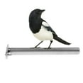 thumbnail image 3 of DOLITY Bird Swing Toys L L, 3 of 9