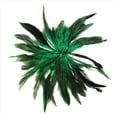 thumbnail image 3 of Aprox. 200Pcs Tenio la Pluma Verde del Gallo de la Decoracion, 3 of 5