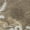 Chocolate, variant on Addison Rugs Mayfield Premium Machine Washable Transitional Floral Taupe Rectangle Rug, 10' x 14'