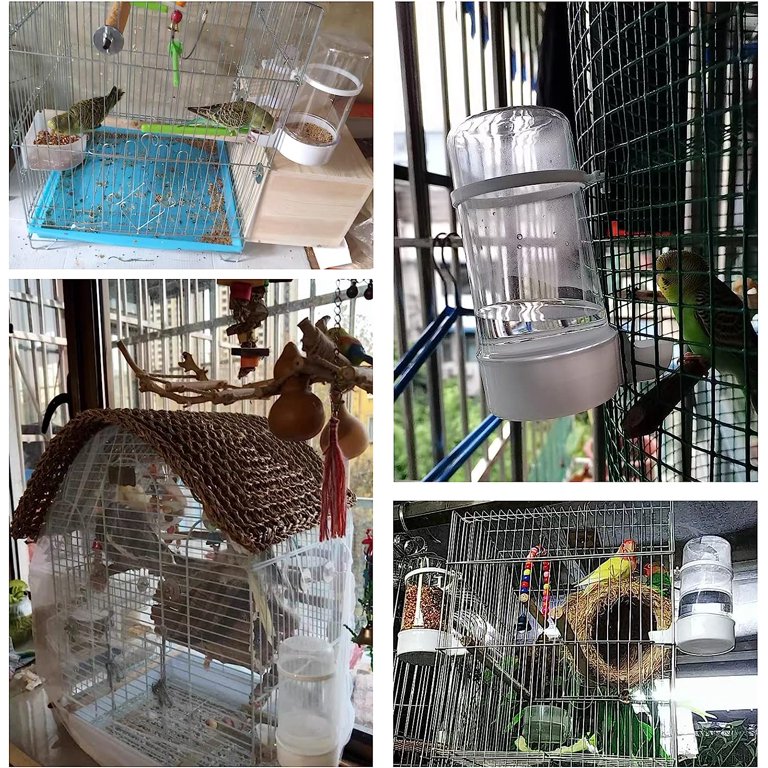 Pet Bird Water Feeder, 13.5 Oz Parrot Water Dispenser, Bird Cage Suspended  Automatic Water Dispenser for Parakeet Budgie Lovebirds Cockatiel (1PCS)