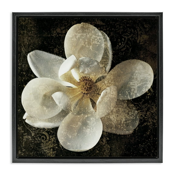 Stupell Industries Rustic Patterned Magnolia Botanical & Floral Painting Black Floater Framed Canvas Art Print Wall Art, 18 x 18