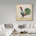 thumbnail image 3 of Trademark Fine Art 'Rooster 5' Canvas Art by Jean Plout, 3 of 3