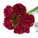 thumbnail image 1 of XmhyTop Ramo de 2 piezas, 10 peonías artificiales en total, flores de seda, hojas para decoración del hogar, oficina, boda, fiesta, bar (rosa roja), 1 of 5