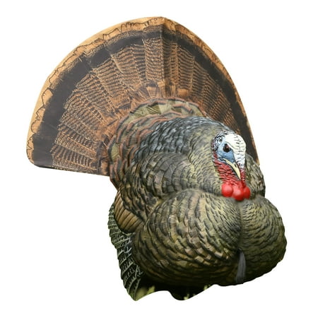 Avian-X Strutter Lifelike Collapsible Decoy LCD Folding Tom Turkey Hunting (The Best Turkey Decoys)