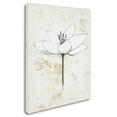 thumbnail image 2 of Trademark Fine Art Floral Canvas Art ' Pencil Floral I Gold ' by Avery Tillmon, 2 of 3
