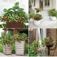 thumbnail image 2 of AcerichFad Artificial Plants for Outdoor, 24 Bundles Faux Greenery Fake Plastic Flowers with Stems for Outdoor Indoor Summer Patio Garden Porch Yard Home Decor, 2 of 7