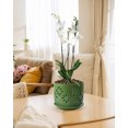 thumbnail image 6 of Green Ceramic Orchid Planter with Drainage Holes, 5 & 6 Inch Slotted Flower Pots for Healthy Roots, Modern Indoor Garden Decor, 6 of 7