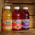Welch‘s Variety Pack 10 fl. oz. 24 pk