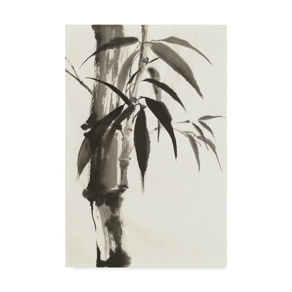 Trademark Fine Art 'Sumi Bamboo' Canvas Art by Chris Paschke