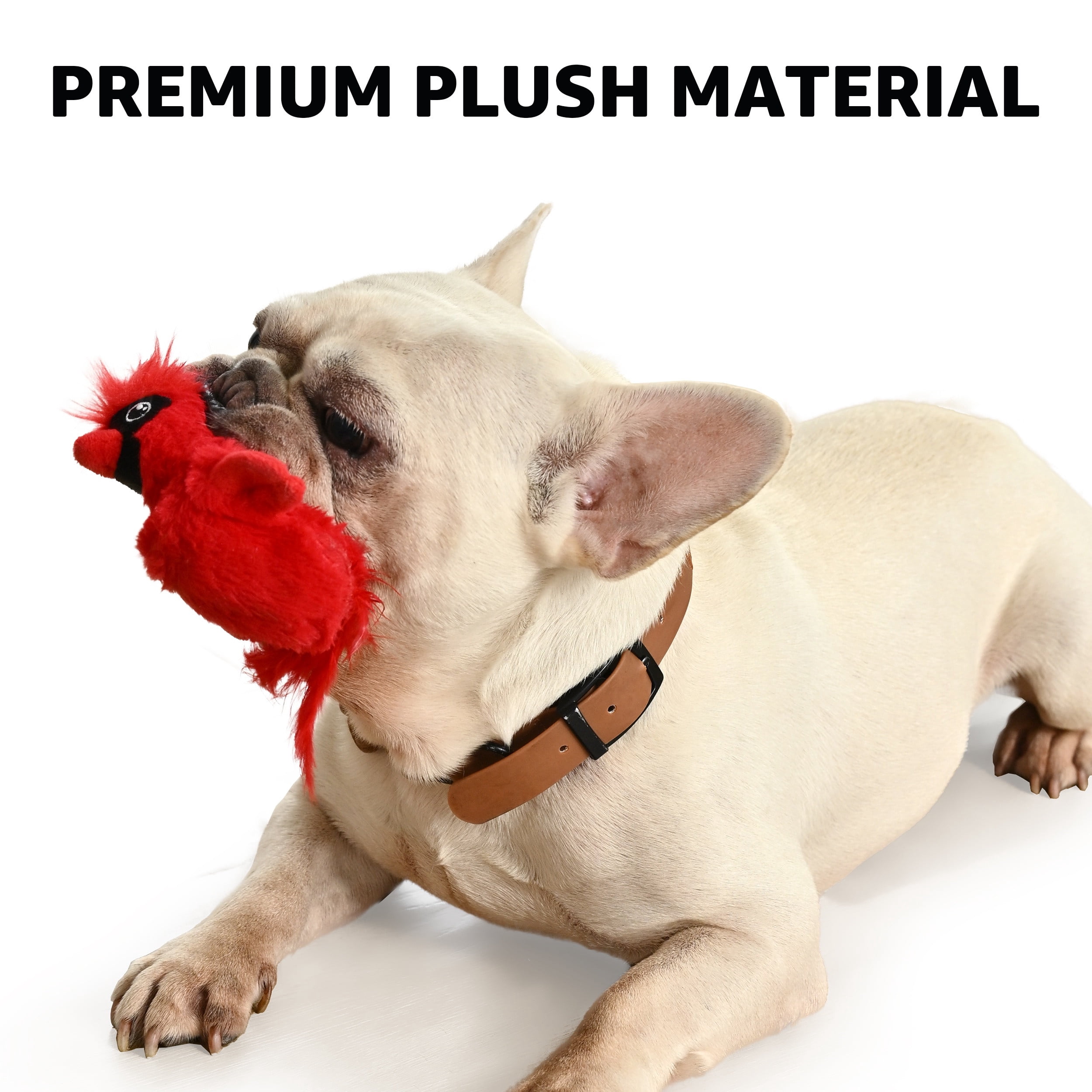 Max & Marlow Cat Toy Rechargeable Flapping Bird, Touch Activated with Realistic Wing Movement