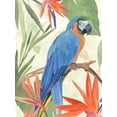 thumbnail image 2 of Warren, Annie 15x18 Gold Ornate Wood Framed with Double Matting Museum Art Print Titled - Tropical Parrot Composition IV, 2 of 4